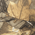 C909 - Port Authority Americana Contrast Stitch Camouflage Cap - Realtree Xtra