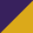 Purple/ Gold