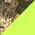 C930 - Port Authority Structured Camouflage Mesh Back Cap - Mossy Oak Break Up Country/ Neon Yellow