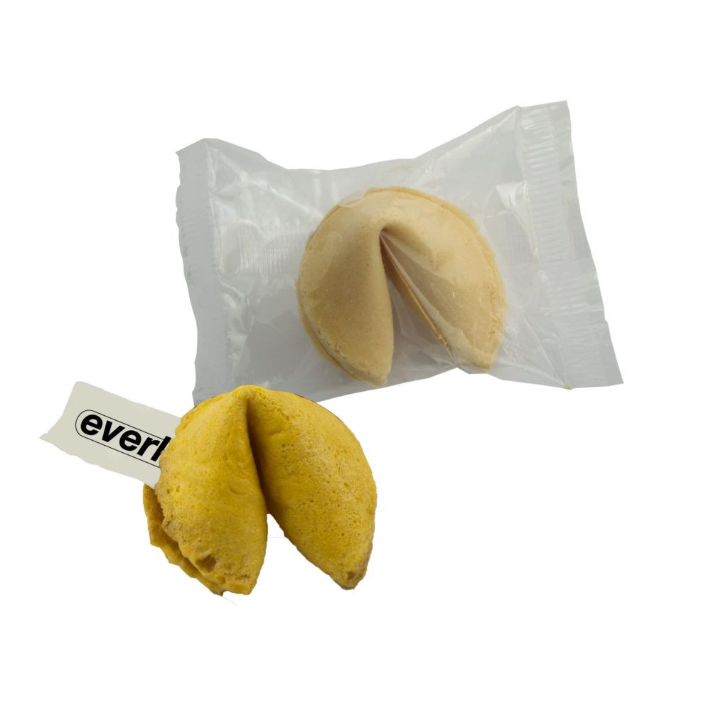 HT0FORTUNECOOK Custom Fortune Cookies Safari Sun