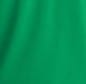 NKDC1963 - Nike Dri-FIT Micro Pique 2.0 Polo - Lucid Green
